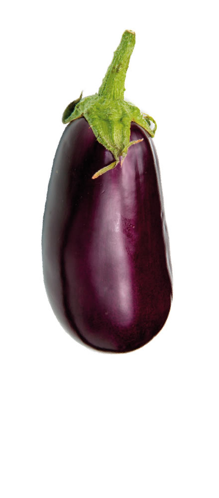 Aubergine = EBAplus
